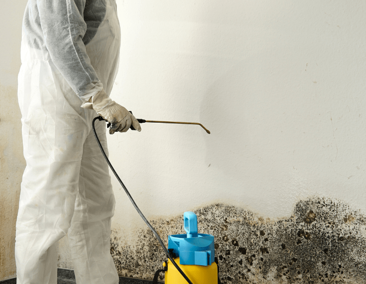 Mould test results newcastle