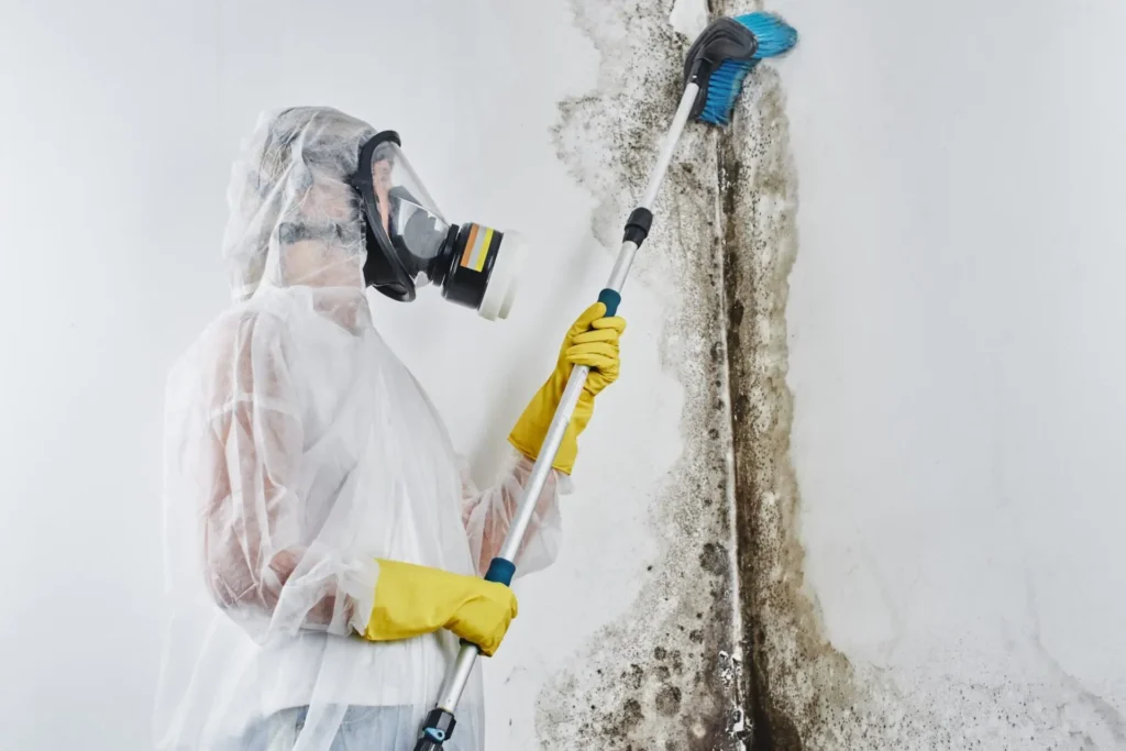 newcastle mould experts